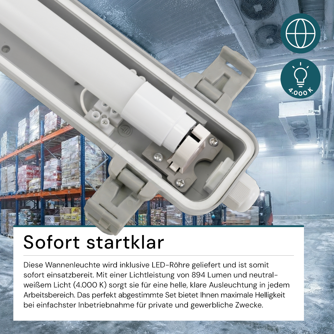 LED Wannenleuchte 60 cm, inkl 1 x 9W LED-Röhren T8, 4000K, IP65, IK08.