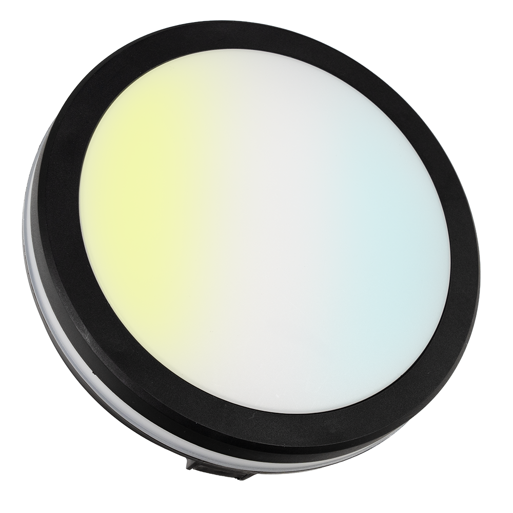 Moderne LED-Deckenlampe, schwarz/weiß, rund, 30 W, 3000 lm, Lichtfarbe einstellbar, Ø30 cm, IP65-wassergeschützt, Schnellverbinder, Innen- und Außenlampe