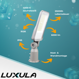 LED Straßenleuchte, grau, 50 W, 6000 lm, 4000 K (neutralweiß), IP65, Wand- und Mastmontage.