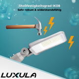 LED Straßenleuchte, grau, 100 W, 12000 lm, 4000 K (neutralweiß), IP65, Wand- und Mastmontage.