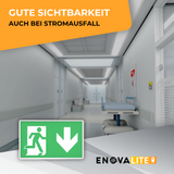 20er Pack LED-Fluchtwegleuchte, Notausgang mit Notstromeinheit, Anti Panik Licht, TEST-Funktion, Wandmontage.