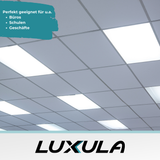 LED Backlit Panel UGR<19, 120x30 cm, 40W, 4400lm, 4000K.