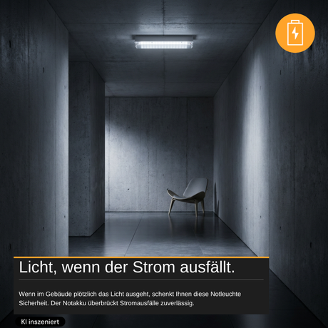 10er Pack LED-Fluchtwegleuchte mit Notstromakku 3h, TEST-Funktion, Dauer- & Notbetrieb, IP65
