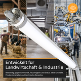 LED-Feuchtraumleuchte, 150 cm, 50 W, 7500 lm, 5700 K, IP69K, ammoniakbeständig, Brandschutz, durchschleifbar, Rohrleuchte