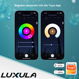LED RGB+CCT Leuchtmittel, GU10, MR16, 5W, 387lm, SMART, Tuya App steuerbar.