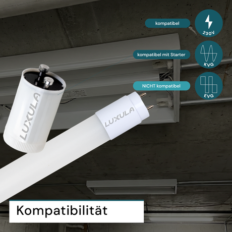 LED T8 Röhre, 60 cm, 160 lm/W, 9 W, 1400 lm, 6000 K (kaltweiß), mit Brücke, hohe Energieeffizienz