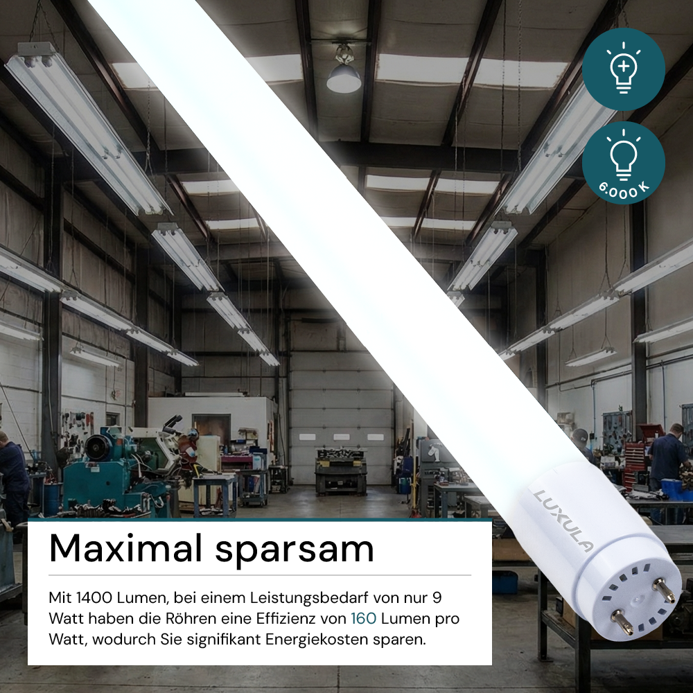 LED T8 Röhre, 60 cm, 160 lm/W, 9 W, 1400 lm, 6000 K (kaltweiß), mit Brücke, hohe Energieeffizienz