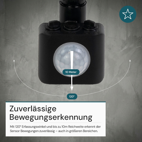 Plug-In Sensor für LX400155, LX400156, LX400157