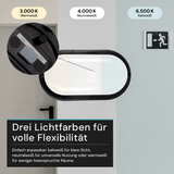 Kellerlampe in Schwarz, Ovalleuchte, 12 W, 1080 lm, Lichtfarbe einstellbar (CCT), IP54-wassergeschützt, Kabelverbinder, Wandleuchte Innen und Außen, Feuchtraumleuchte