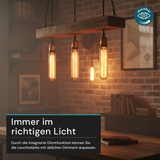 LED Filament Leuchtmittel, Vintage Dekoleuchte, Röhre T30, E27, 2.3W, 65lm, 1800K, dimmbar