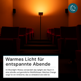 2er Pack LED Büro-Stehleuchte, Up/Down, schwarz, 100 W, 7000 lm, 4000 K (neutralweiß), UGR<16, CRI98, dimmbar, RG0, Bridgelux LED