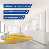 LED COB Leuchtstreifen mit 320 LEDs/m, 10 W/m, 900 lm/m, Ra: >90, 6000K, 5 m.